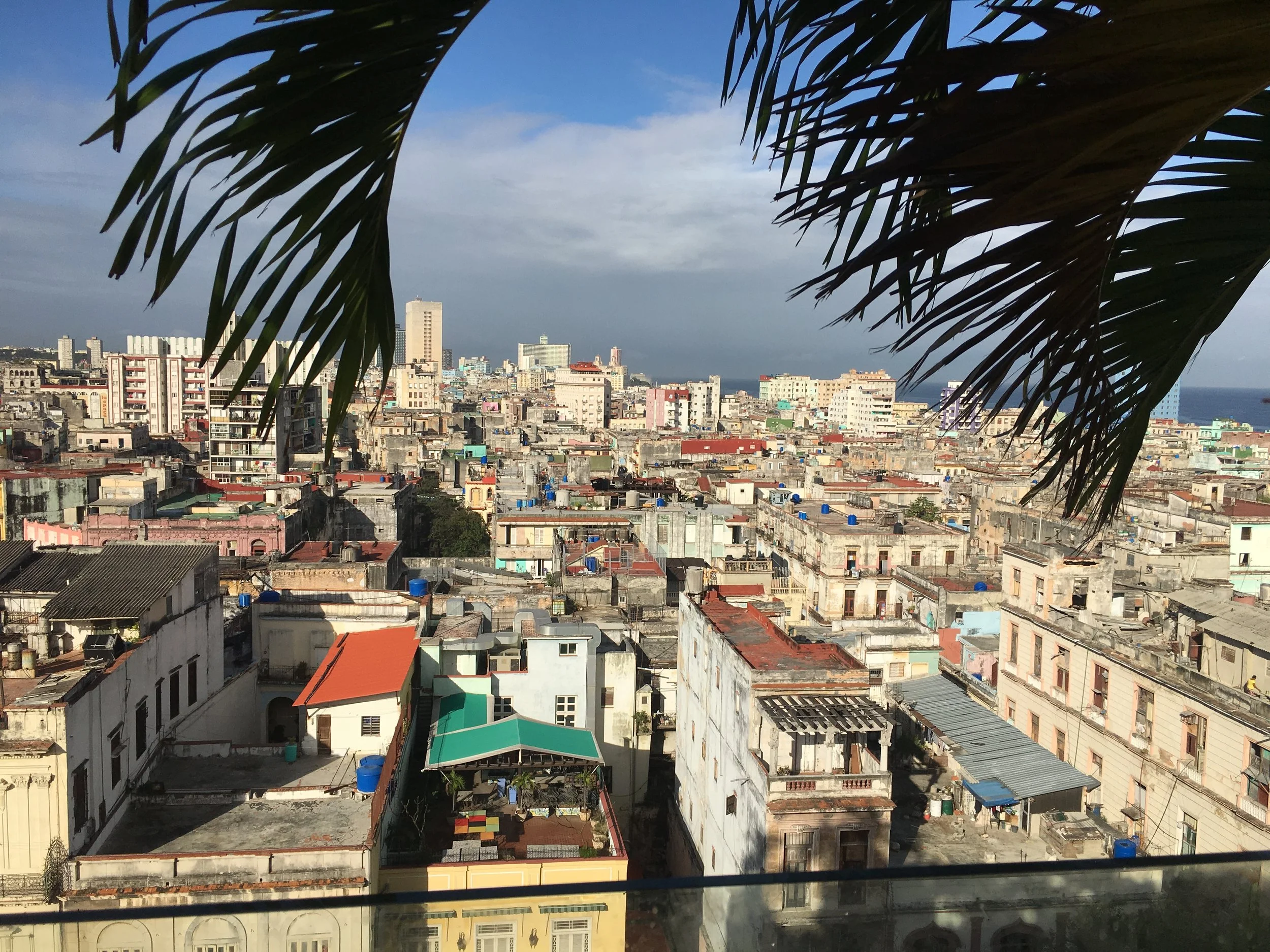 View from the roof top swimming pool of one of Havana's big hotels.