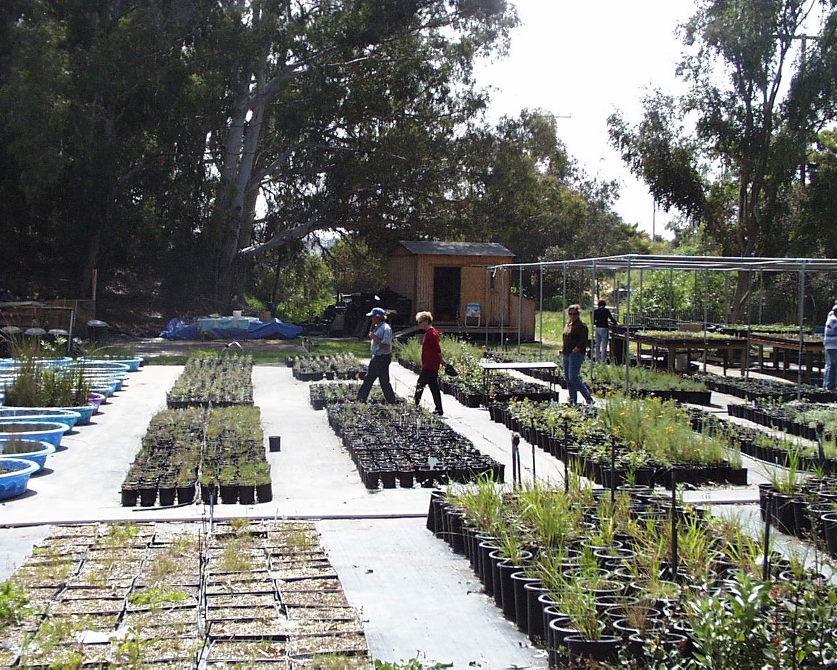 County Nursery in full production, circa 2010.