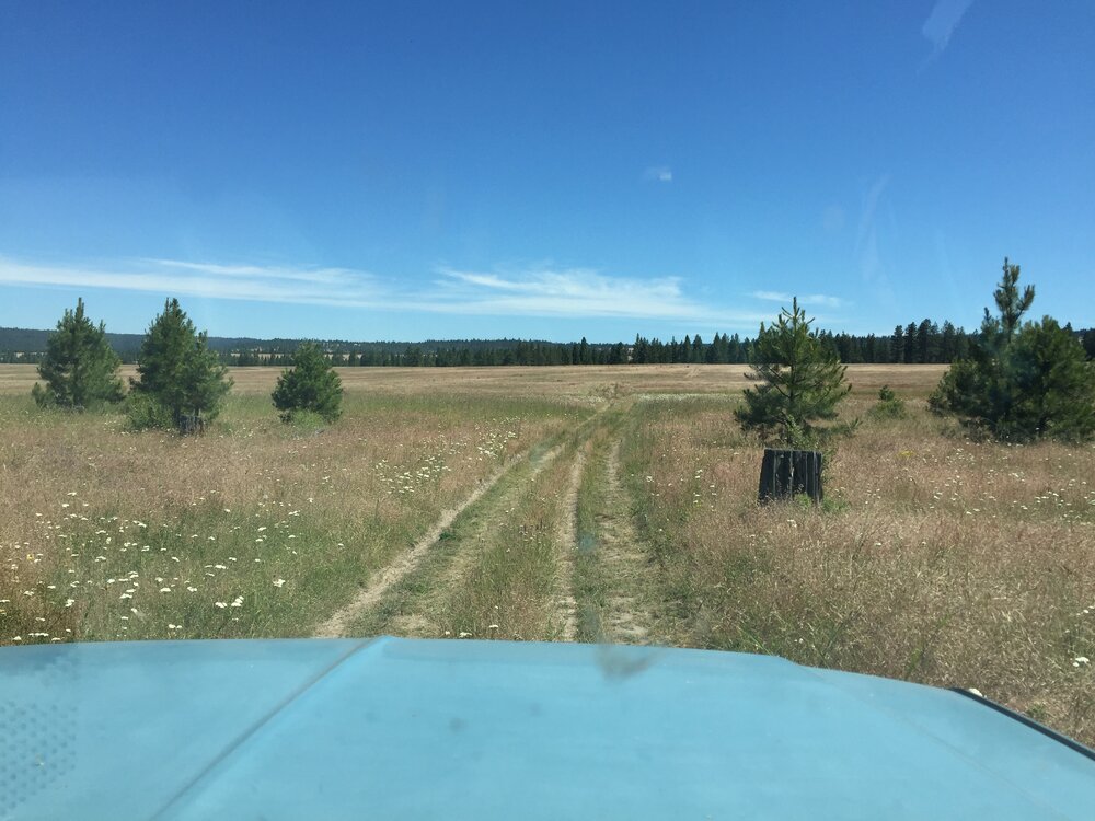 On The Road, Blue Mountains, Oregon