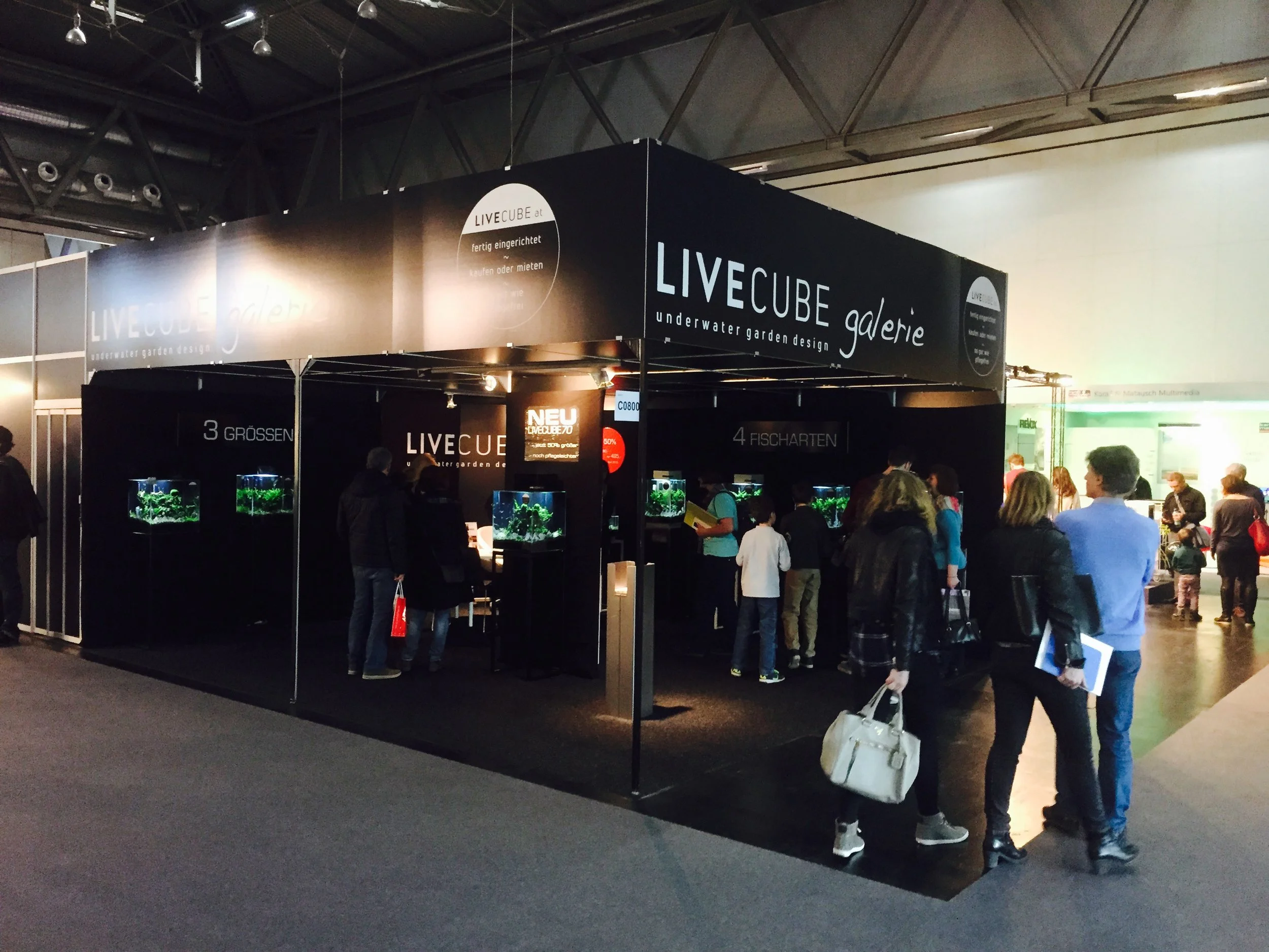 Stand2.jpg
