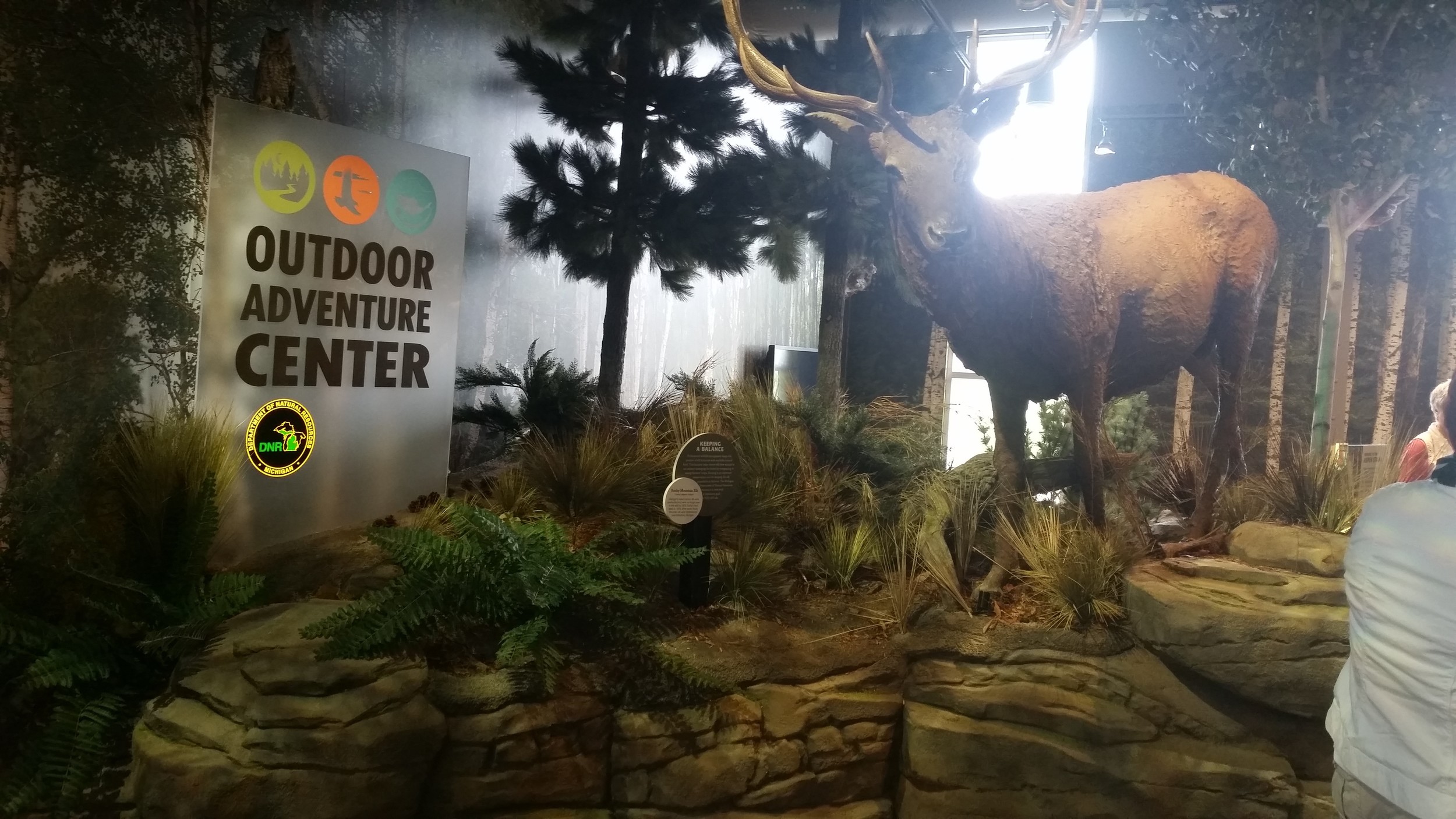 entry exhibit
