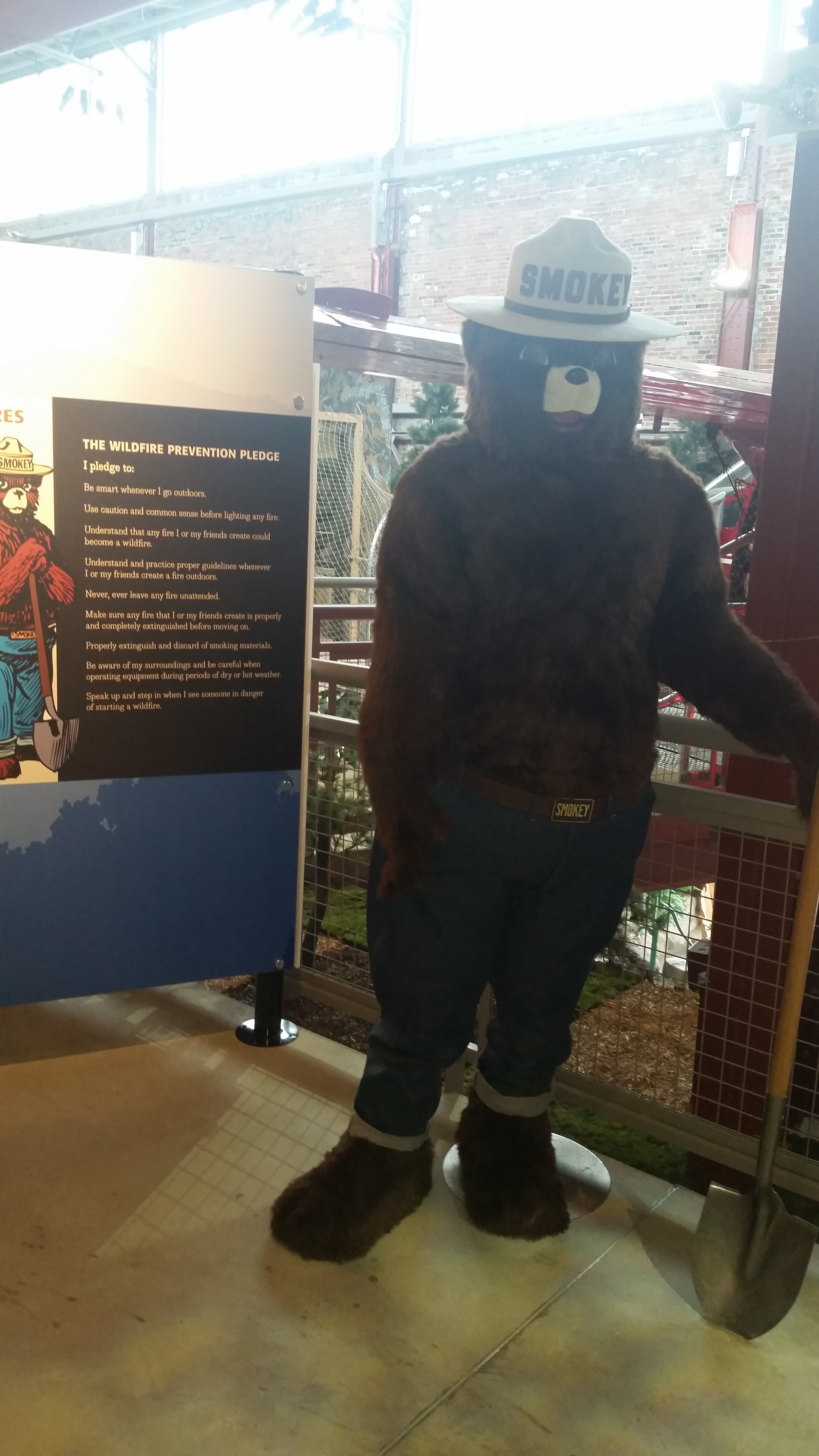 Smokey the Bear