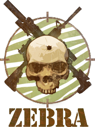 Zebra was an original IP game concept that was pitched but never got traction. 