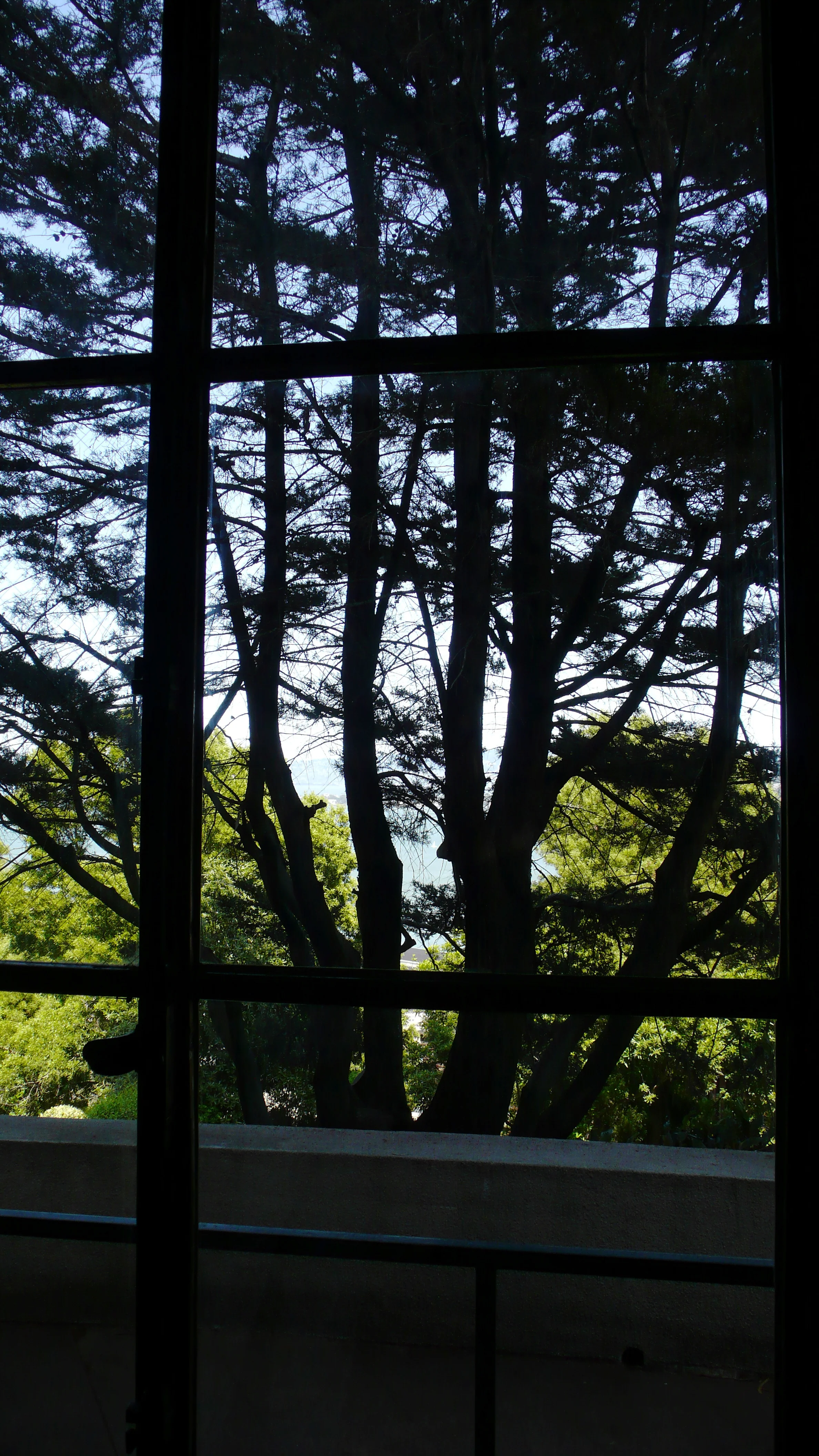 P1000679.JPG