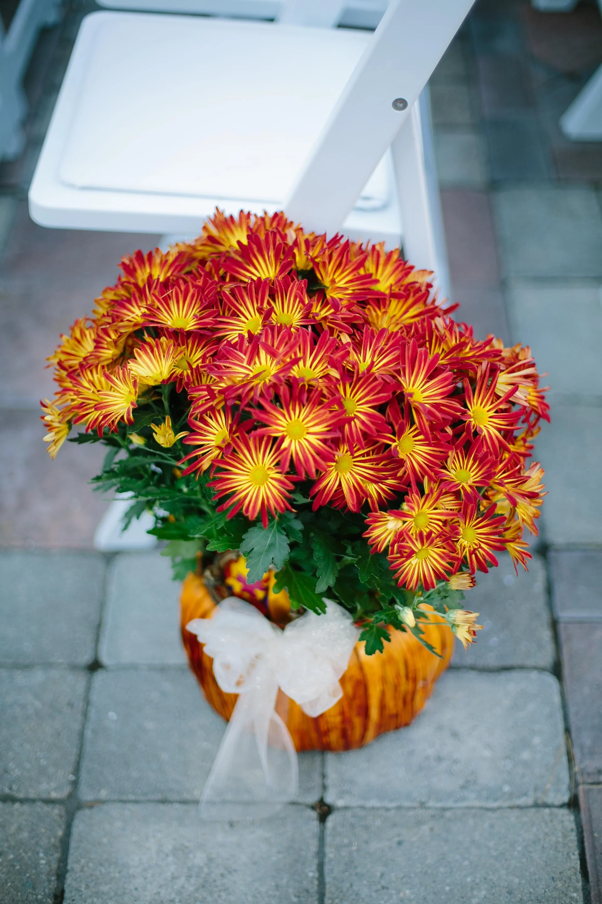 photogpost-173.jpg
