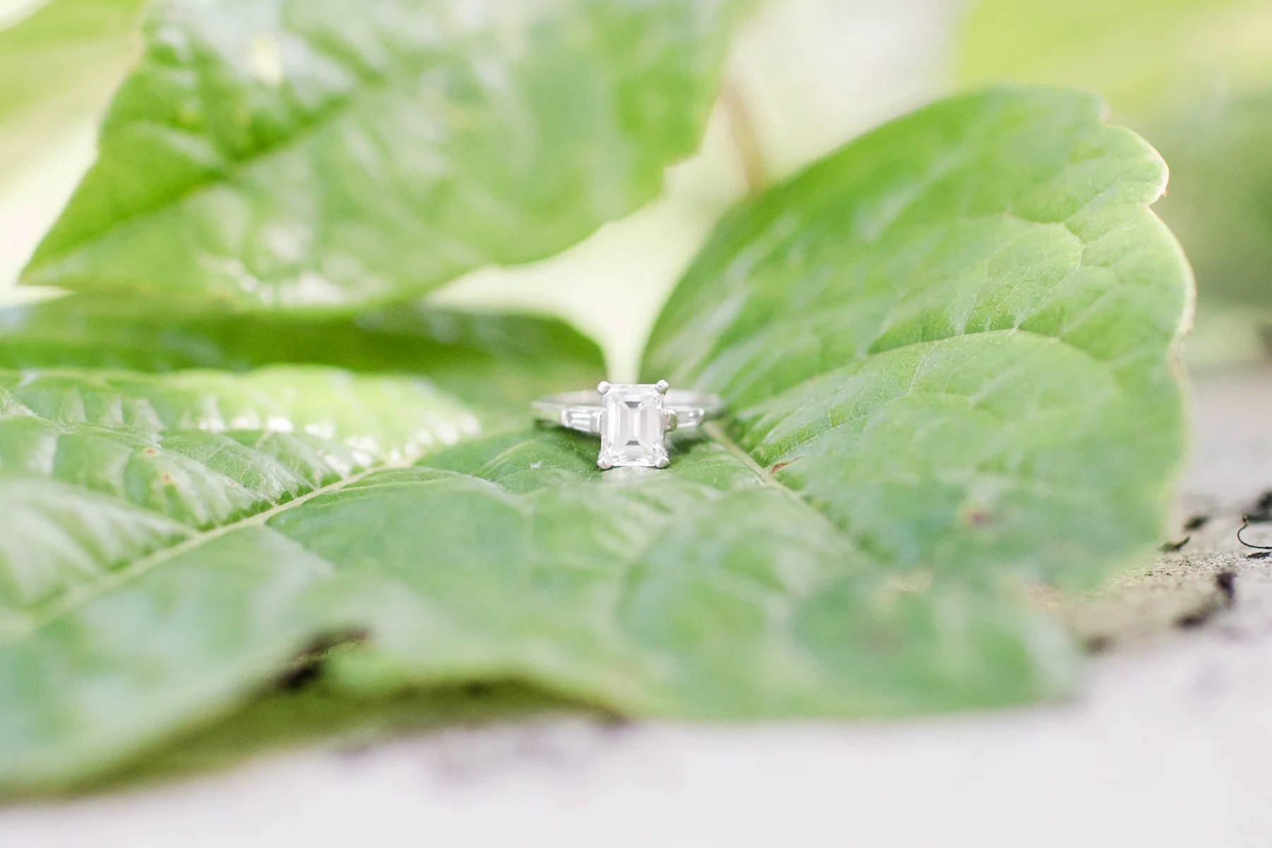 Chicago Riverwalk Engagement Session