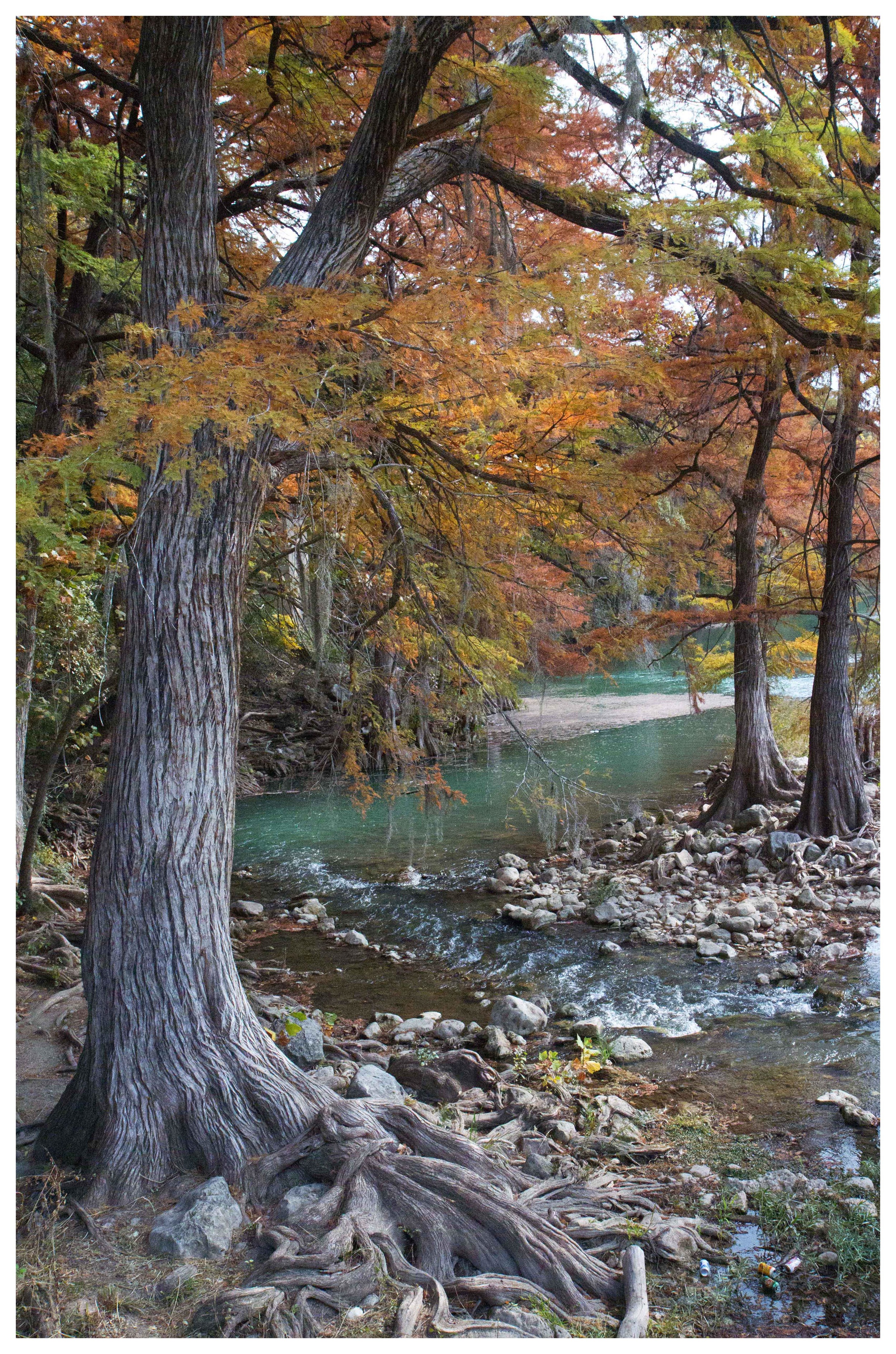 ClaytonGardinier_Guadelupe River Gruene Texas_16X20_ColorPhoto.jpg