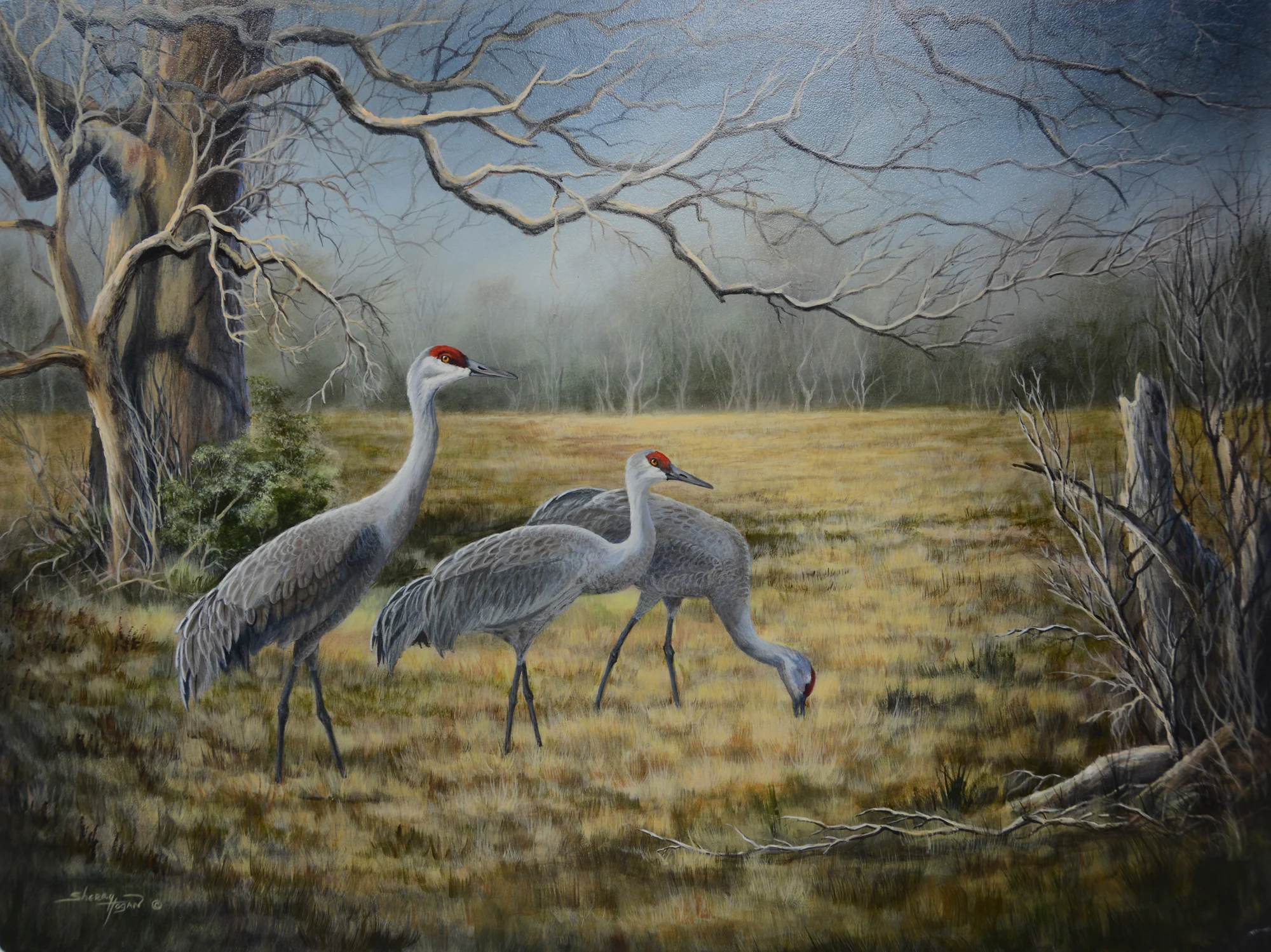 sherryhogan_DingleRanch_18x24_acrylicpanel.jpg