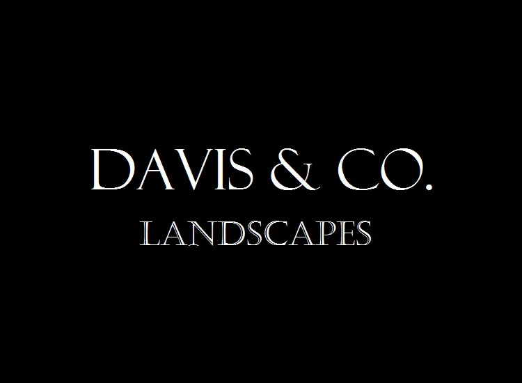 Pic for index page.jpg