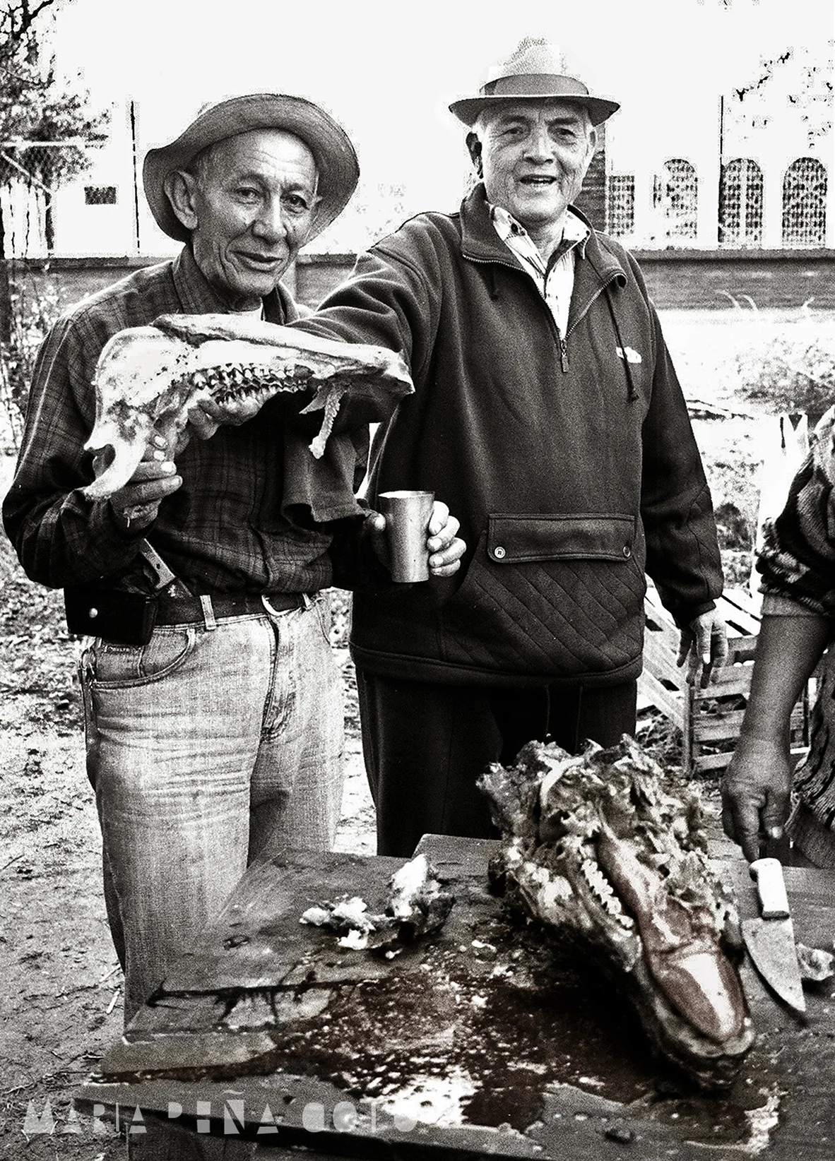 ASADO