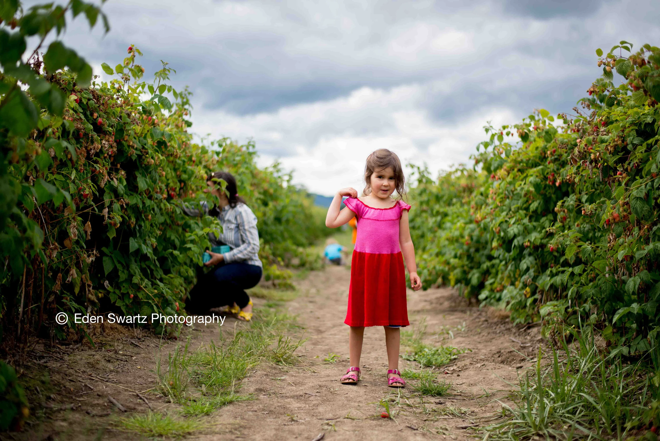 Raspberry Picking On Sauvie Island With Friend Nico. &nbsp;June 20, 2013