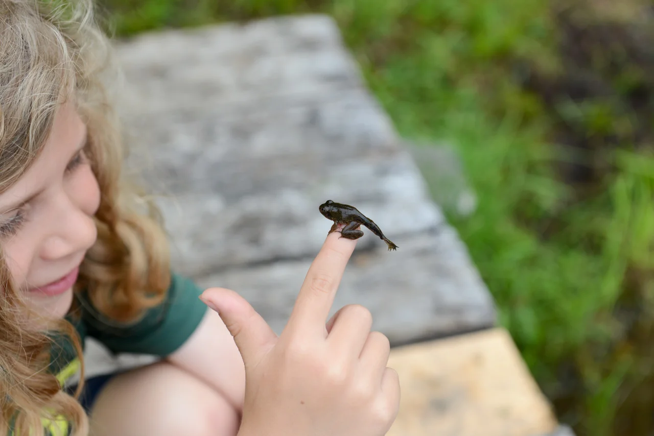DSC_7830.jpg