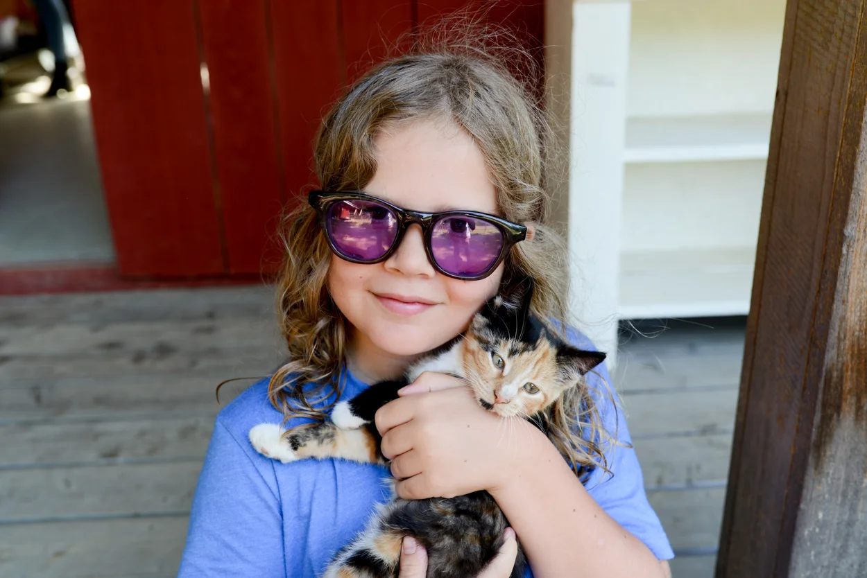 Glass Beads with Kittens. July 22, 2017