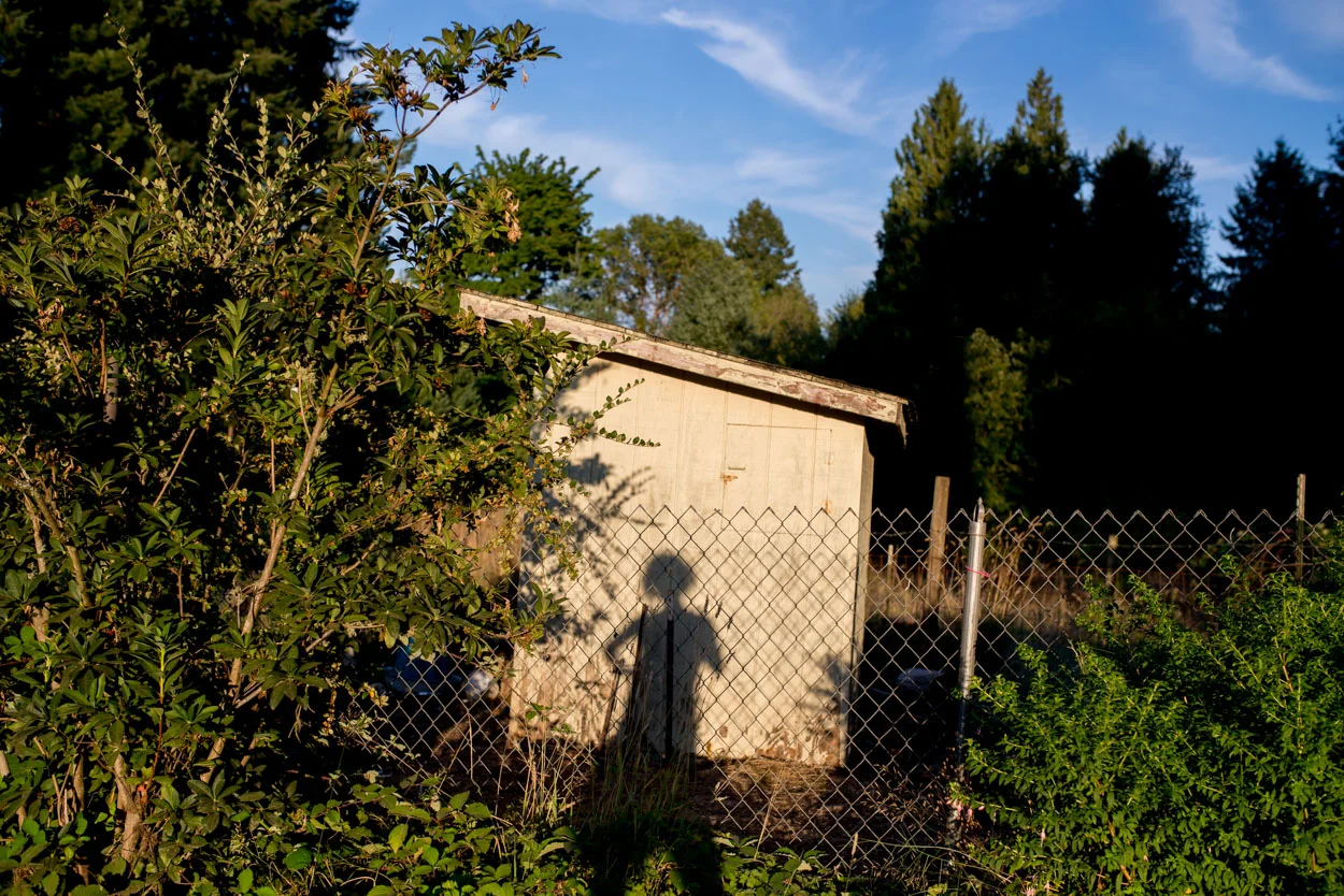 Chicken Coop Self Portrait. My Mom's House. Castle Rock, Washington. August 28, 2017