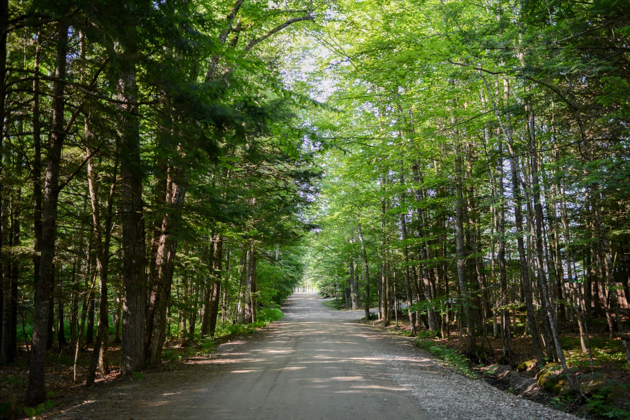 Camp Road, Hidden Valley Camp. Freedom, Maine. July 17, 2017. September 7, 2017