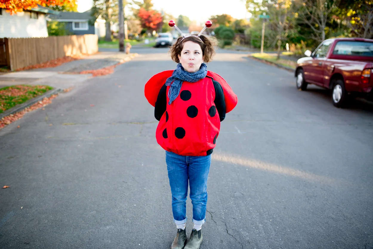 ladybug.jpg
