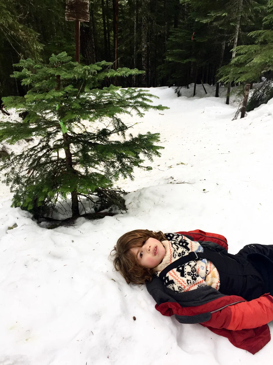 Snowshoe Model. January 14, 2018