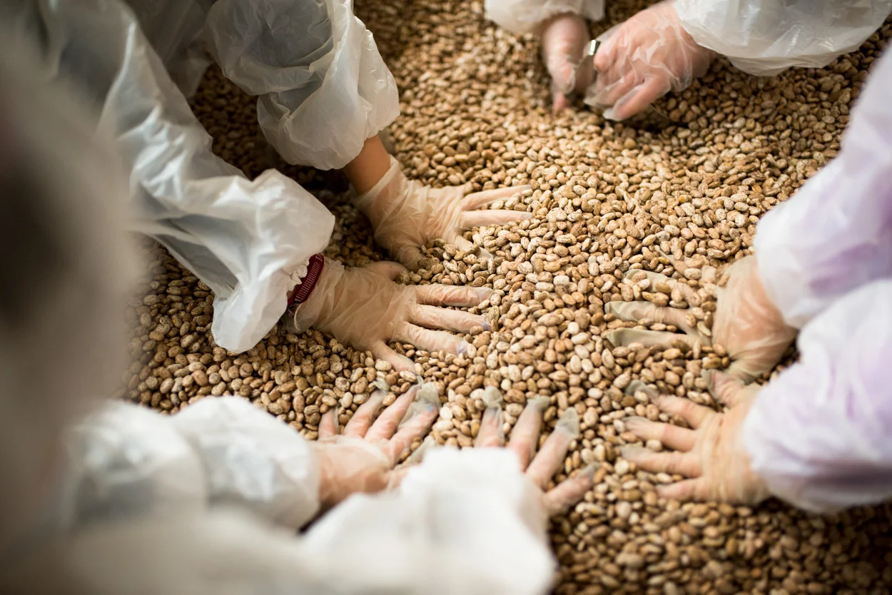 Pinto Beans. Oregon Food Bank. February 9, 2018