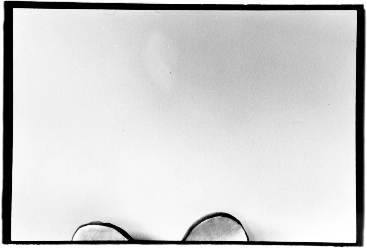 eden_swartz_photography_mouse project-2.jpg