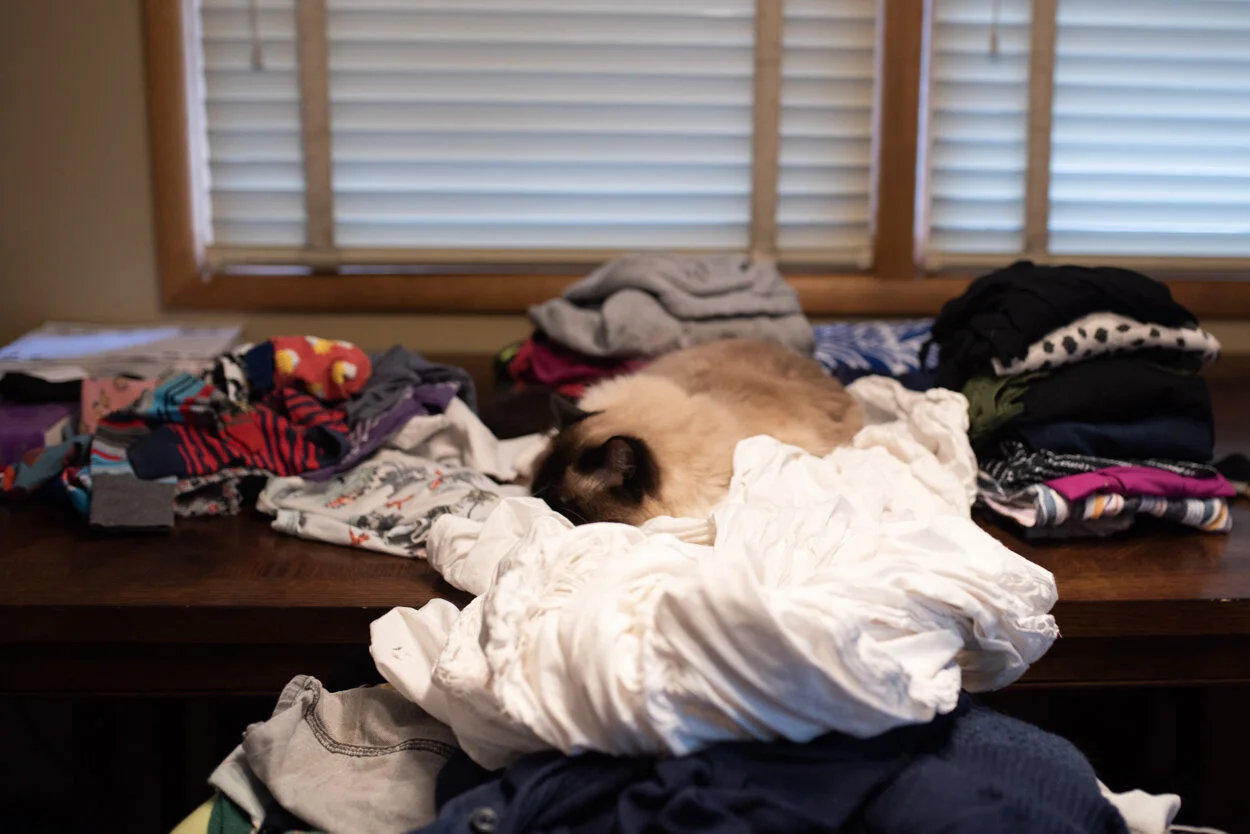 Folding the Laundry. April 18, 2020