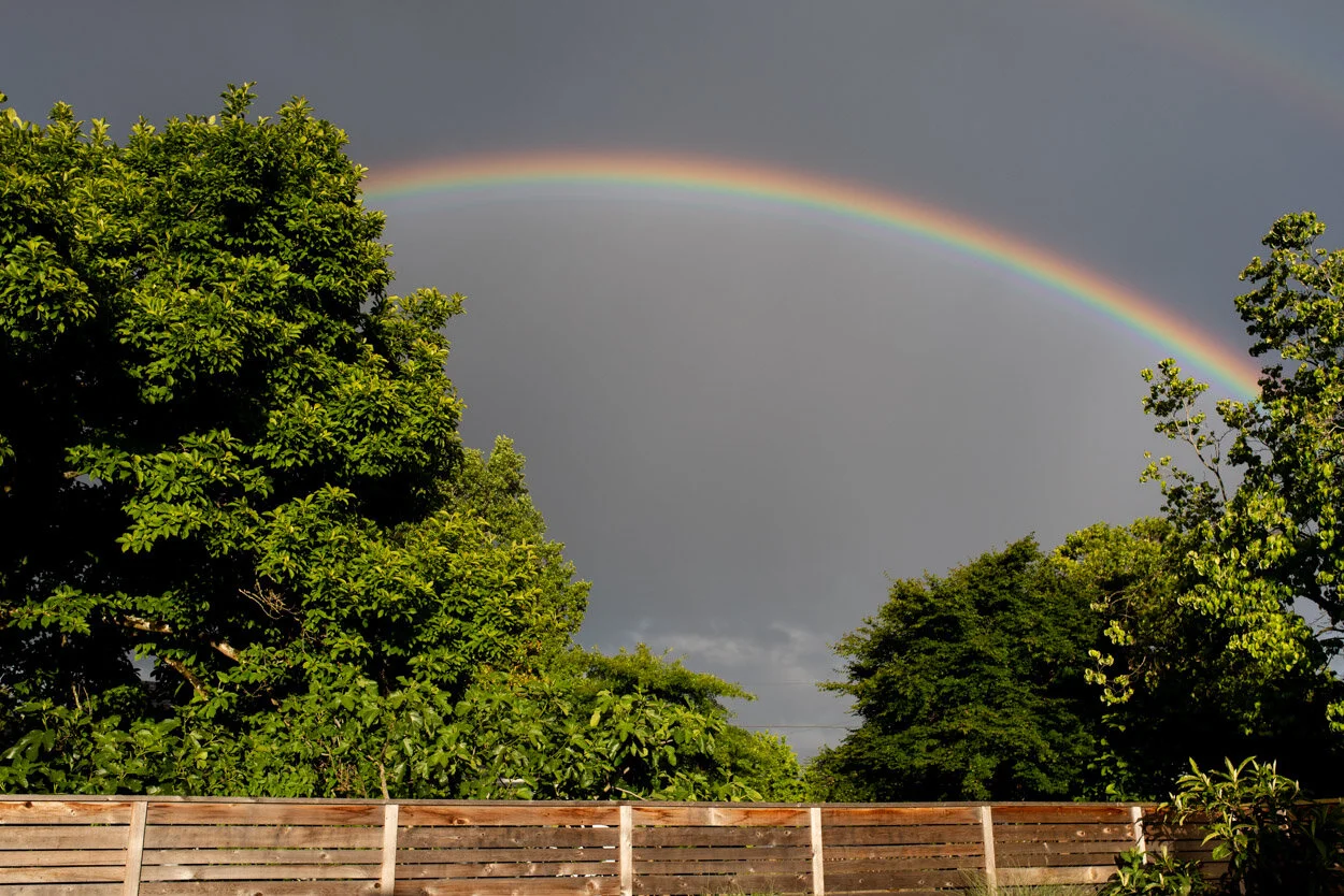 Sun Shower. June 15, 2020