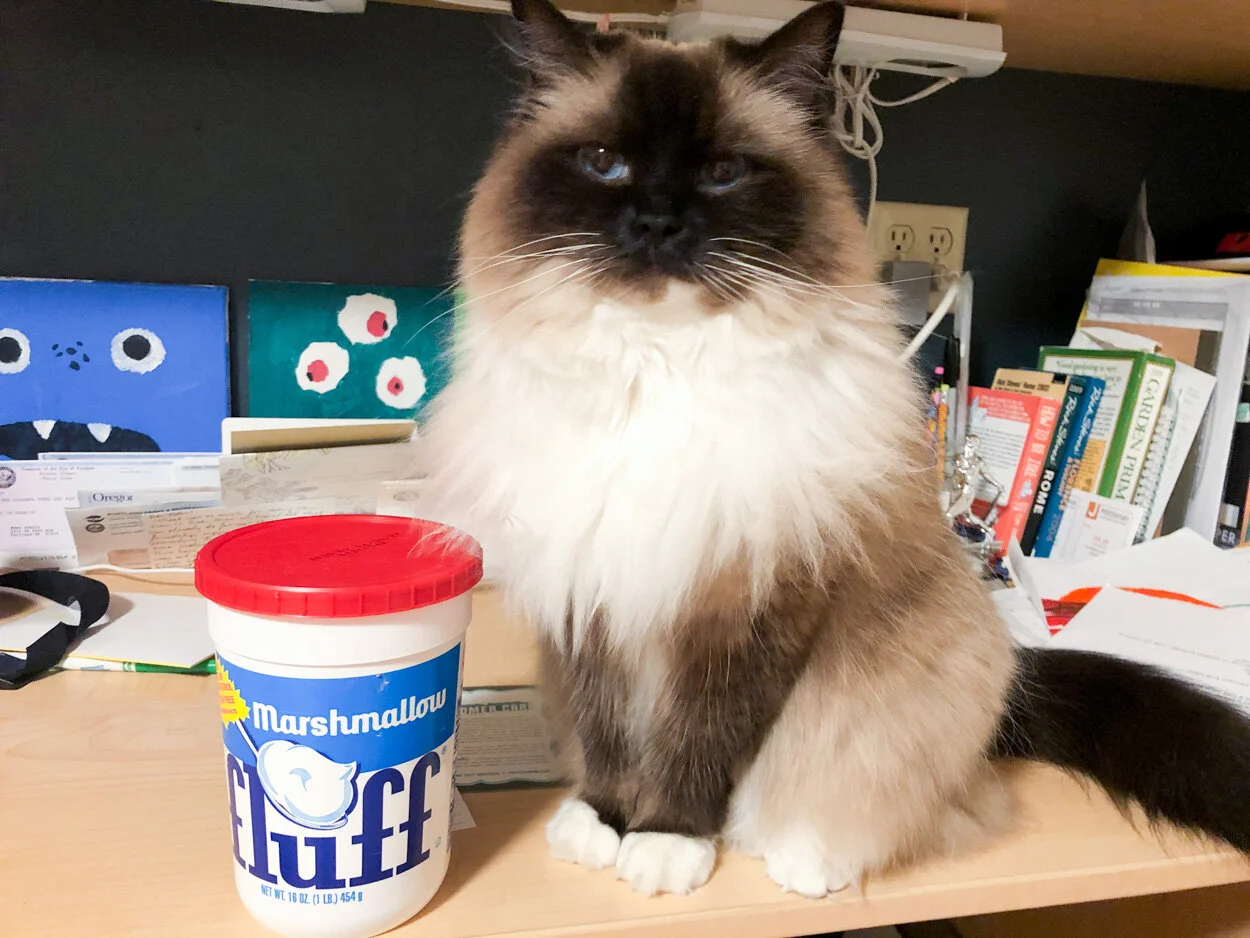 Fluff. July 5, 2020