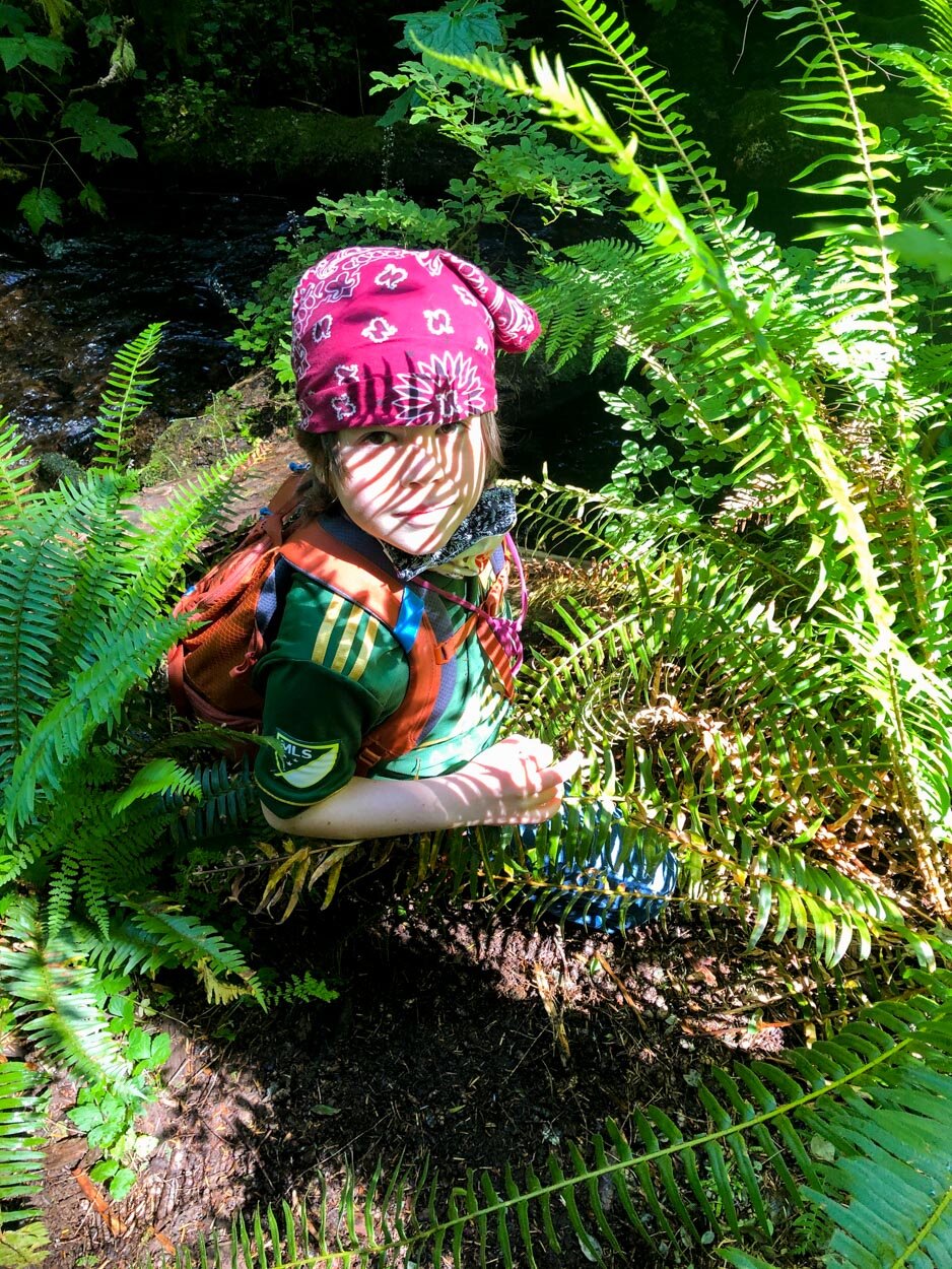 Mayim With Ferns. July 10, 2020