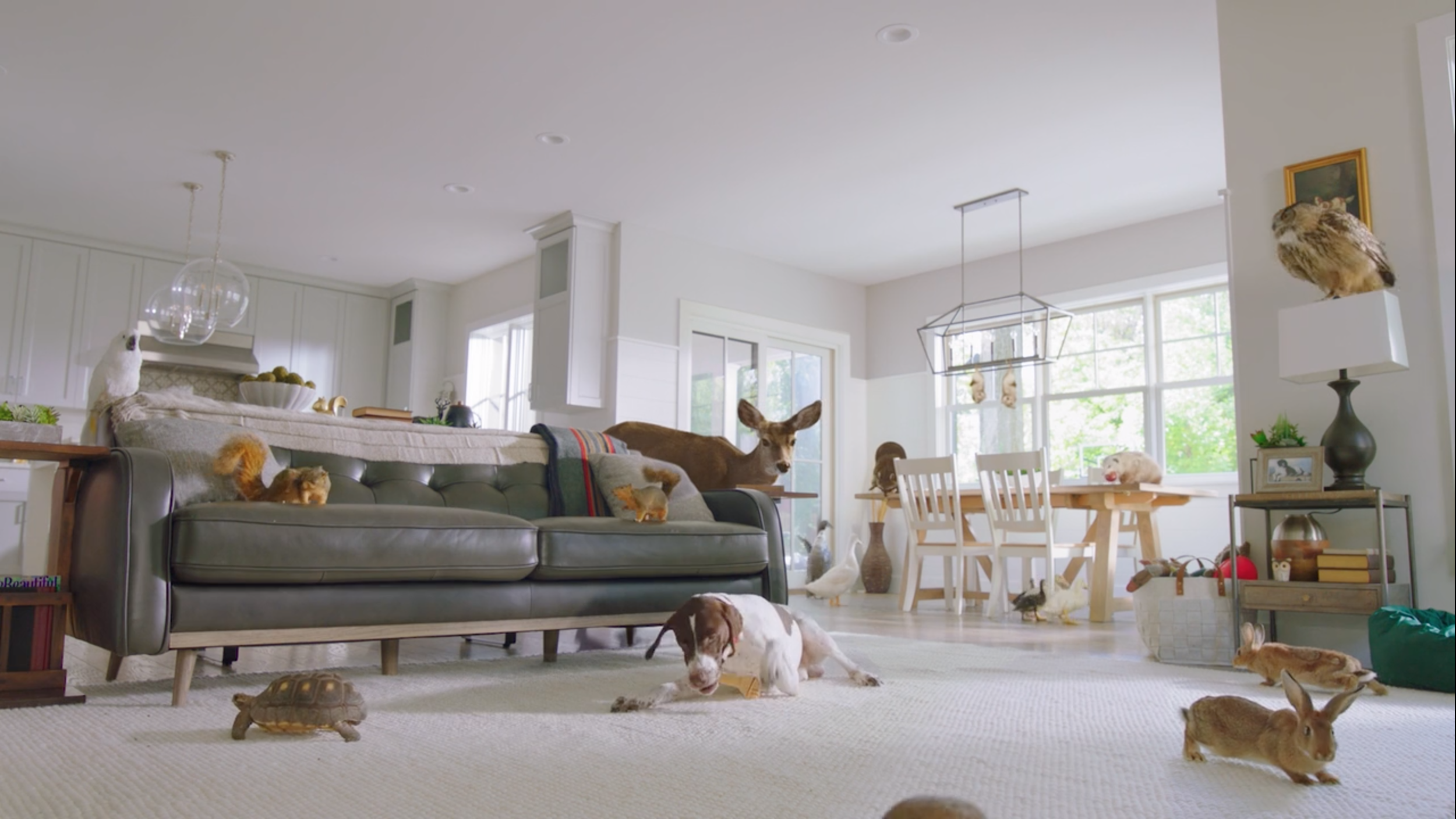 Screen Shot 2019-03-25 at 2.39.01 PM.png