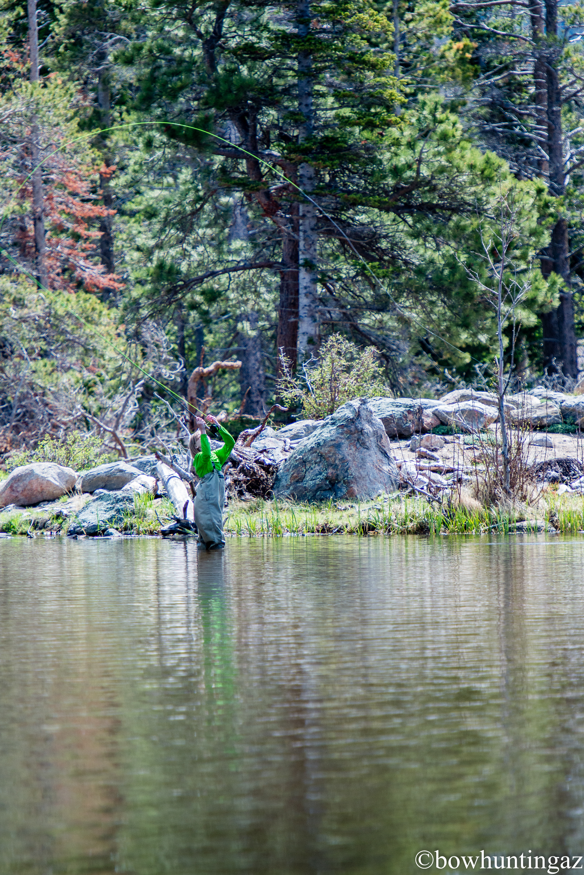 DSC_4629.jpg