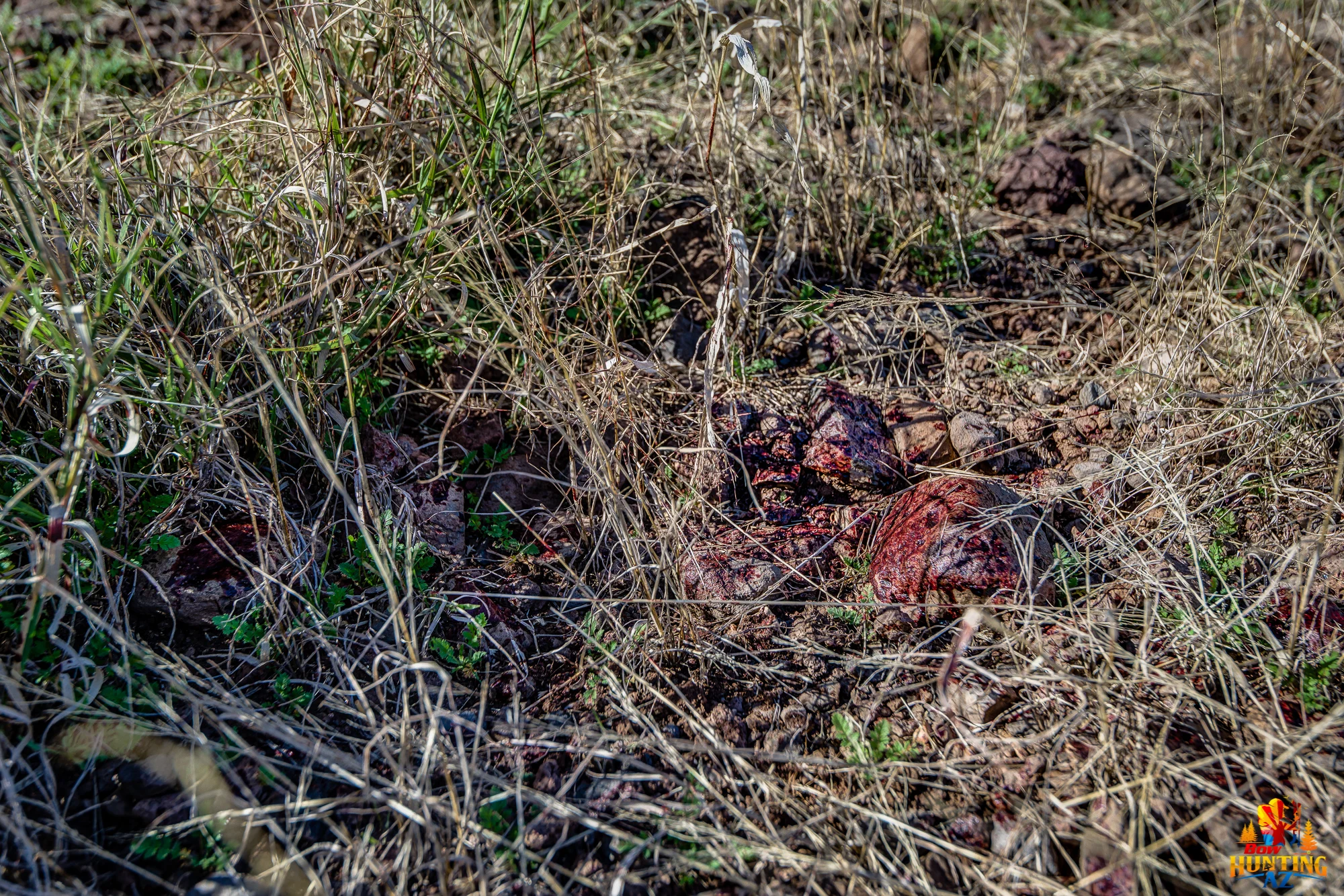 DSC_5170.jpg