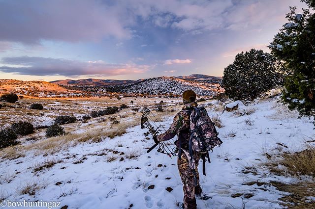 Good luck to all those hittin the hills today for OTC opener!! Be sure to tag BowhuntingAZ in your photos! Harvest or not we want to adventure along with you 🙌📸🏹⛰🌵
#bowhuntingaz #bowhunting #arizonahunting #huntingarizona #huntaz #hunt_az #deerhu