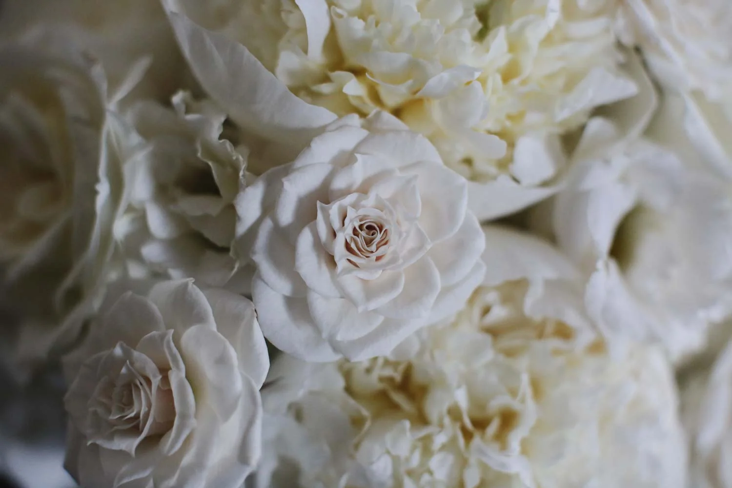 Wedding Planner Gallery | Bello & Blue Events | Colorado & Denver Wedding Planner