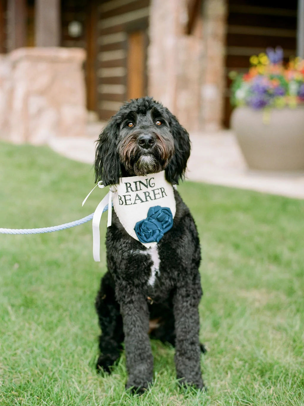 Wedding Planner Gallery | Bello & Blue Events | Colorado & Denver Wedding Planner