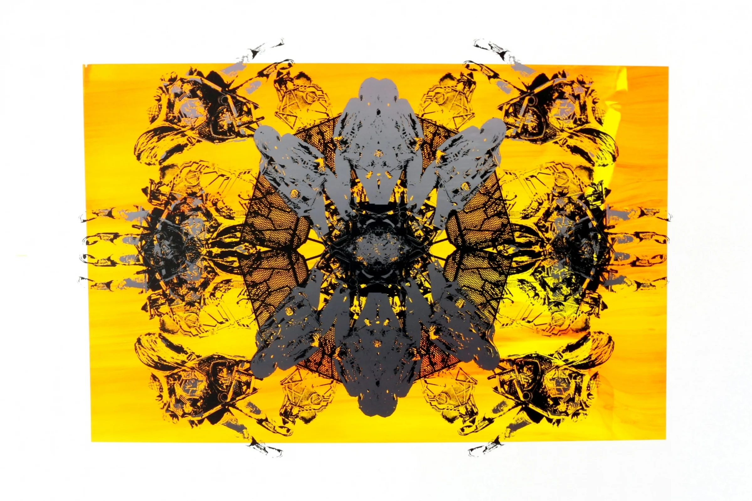 'SPINING ORANGE', 2016 24"X18"
