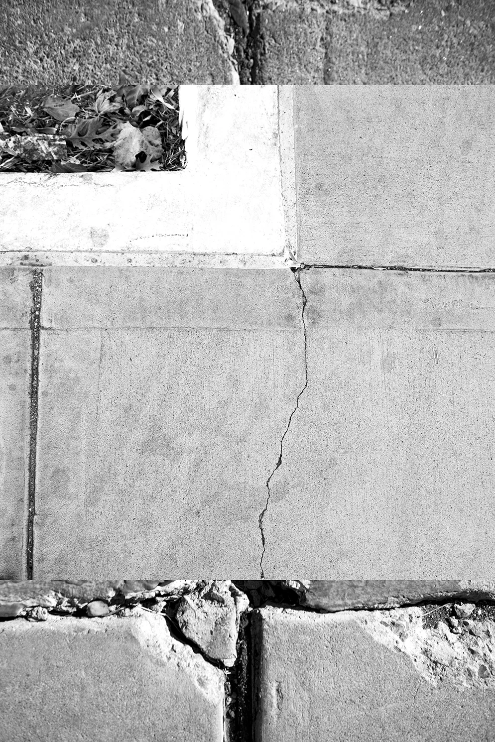 composit for site.jpg