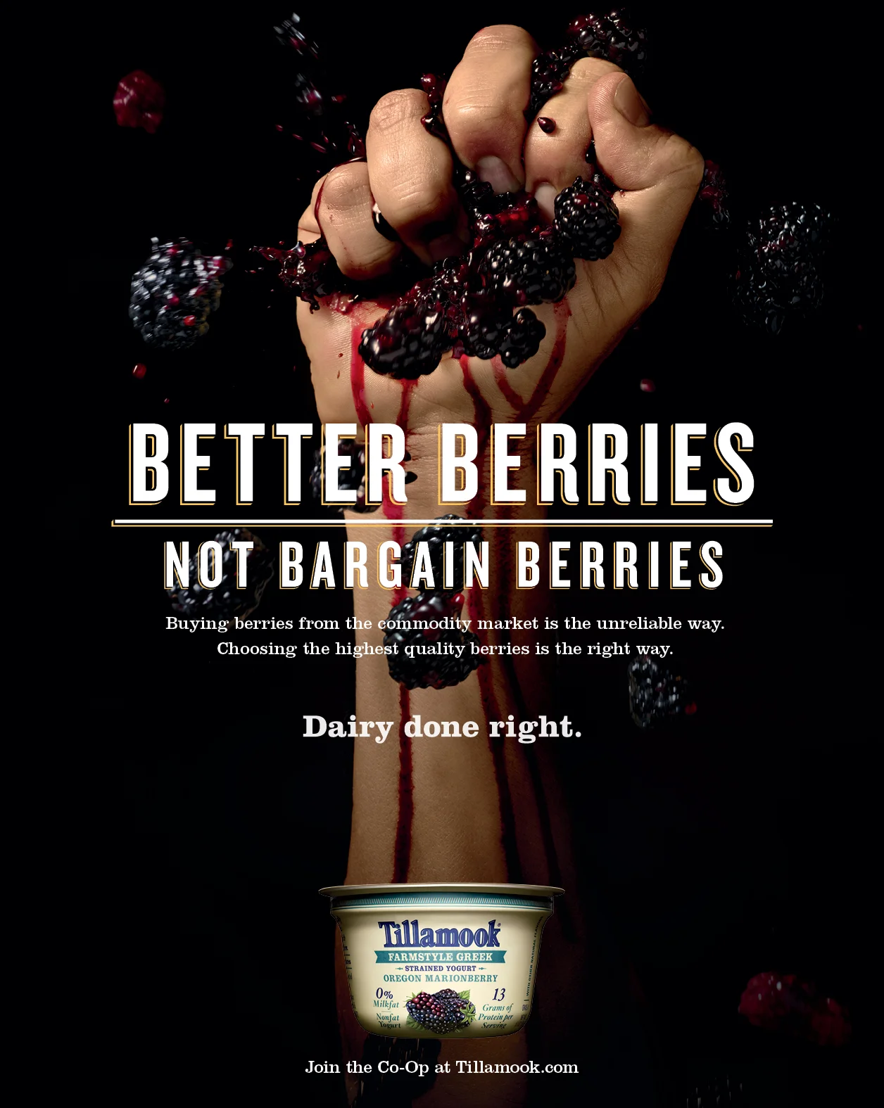 Tillamook / Dairy Done Right / Launch Campaign