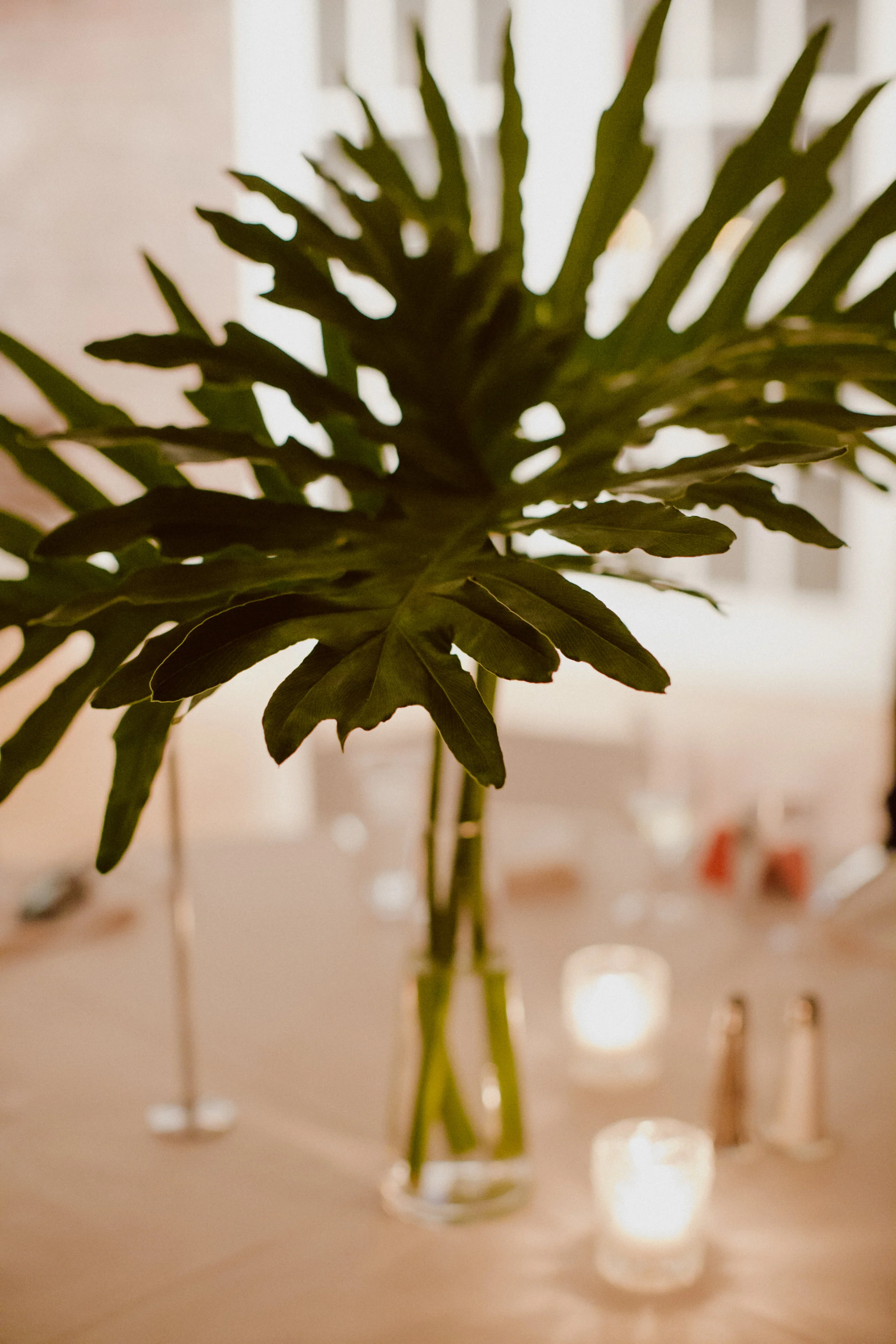 V+S_WEDDING00639.jpg