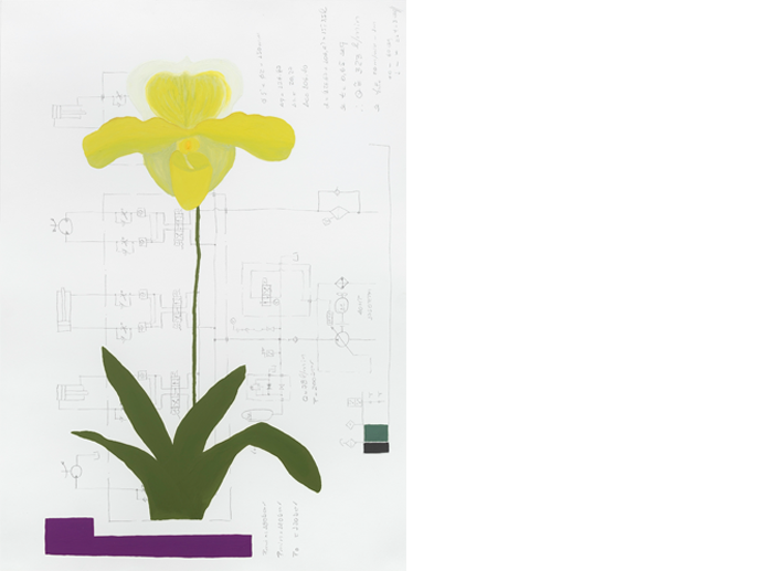 Da série Áporo (Paphiopedilum) , 2013. Óleo e cera sobre desenho de Armando H. Francoio de circuito hidráulico em impressão a jato de tinta com pigmento mineral sobre papel de algodão. 49 x 37 cm. From the series “Áporo” (Paphiopedilum), 2013. Oil and wax on inkjet printing on paper. 49 x 37 cm.
