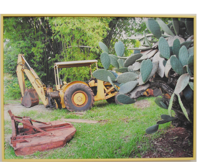Trator e nopal , 2010. Fotografia digital e moldura de madeira pintada. 38 x 51 cm. Tractor and cactus, 2010. Photography and painted frame. 38 x 51 cm.