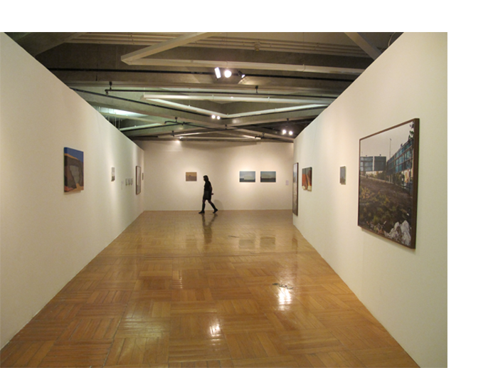 Exposição Paisagens à margem. Landscapes at the fringe Exhibition.