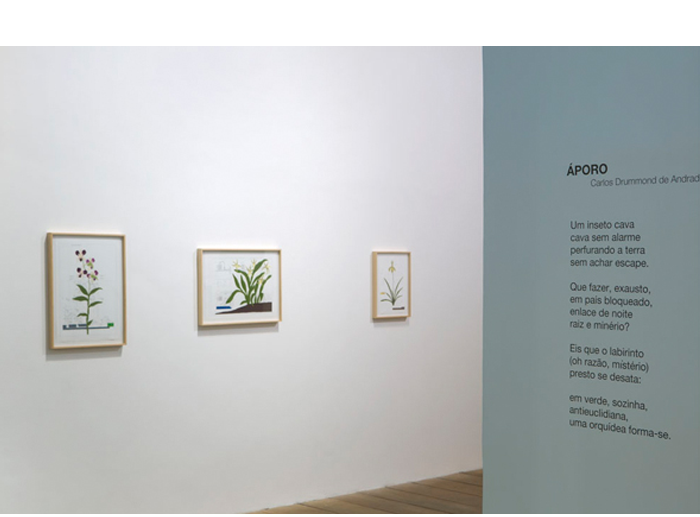 Exposição Áporo. "Áporo" Exhibition. 