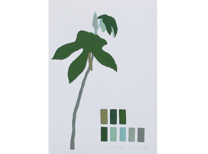 Estudo para a série Catalogação (Embaúba), 2014. Gouache sobre papel. 42 x 30 cm. Study to the series Cataloguing ("Embaúba"), 2014. Gouache on paper. 42 x 30 cm.