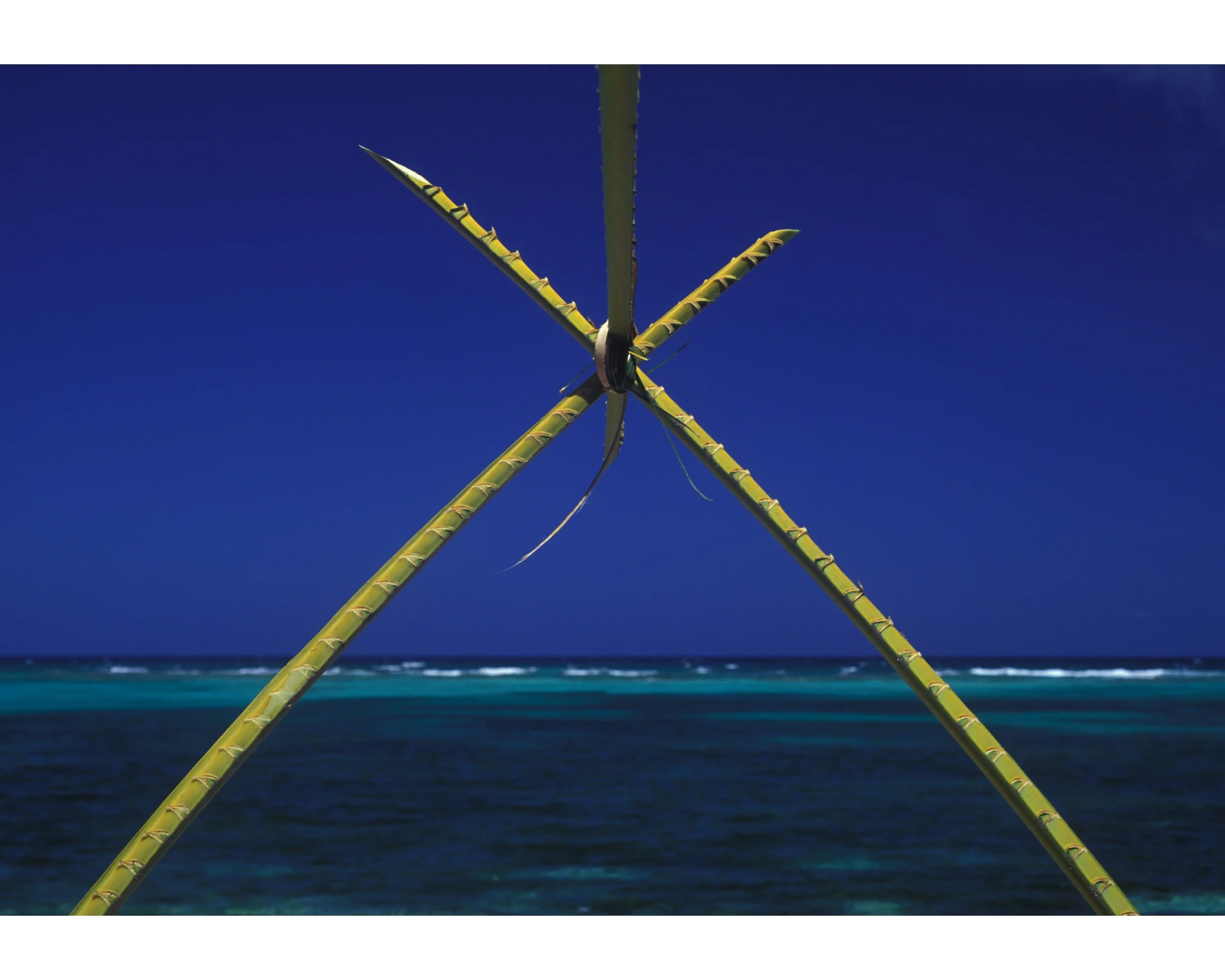 comienzo de refugio.jpg