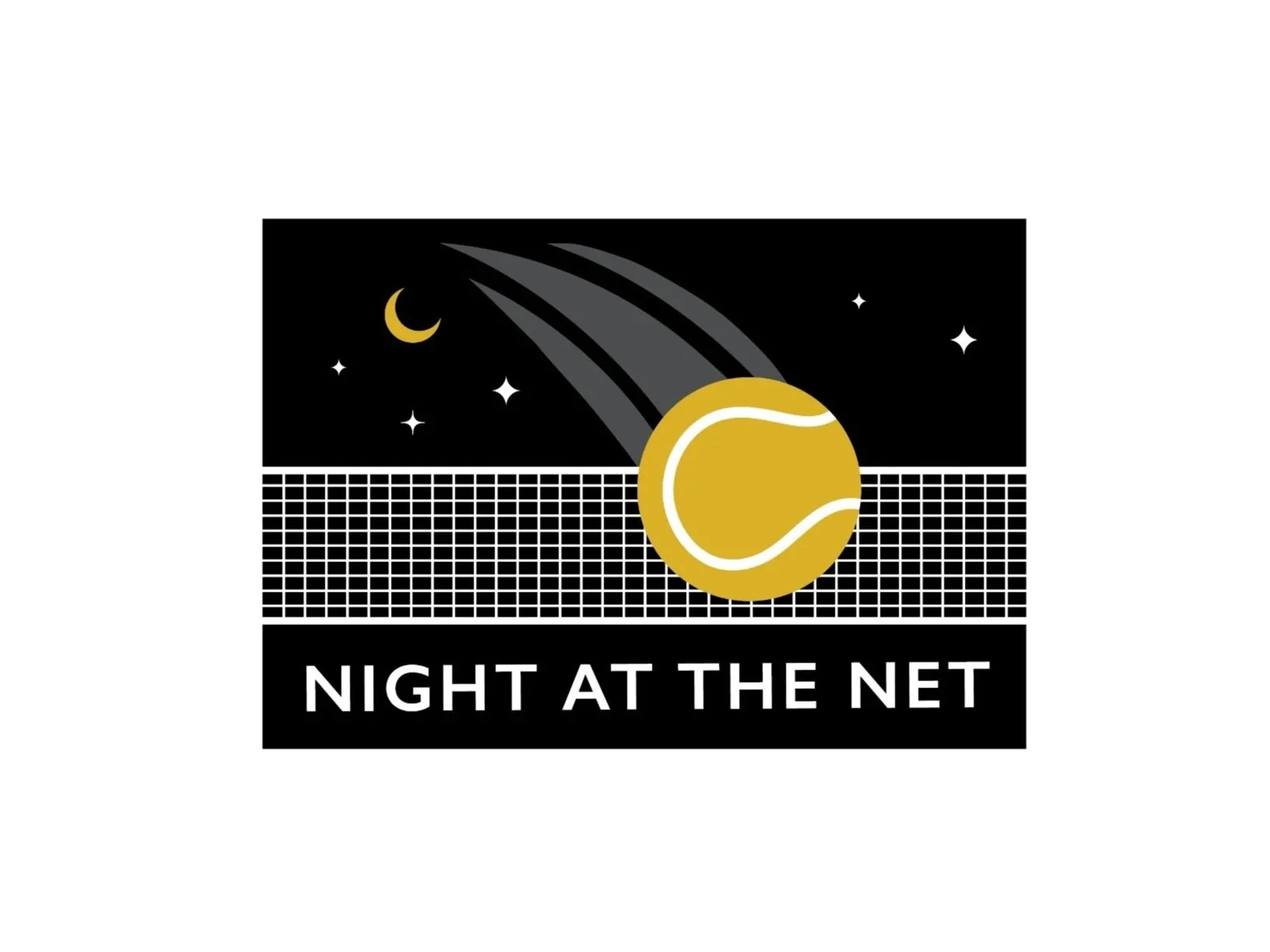 night_at_the_net_logo.jpg