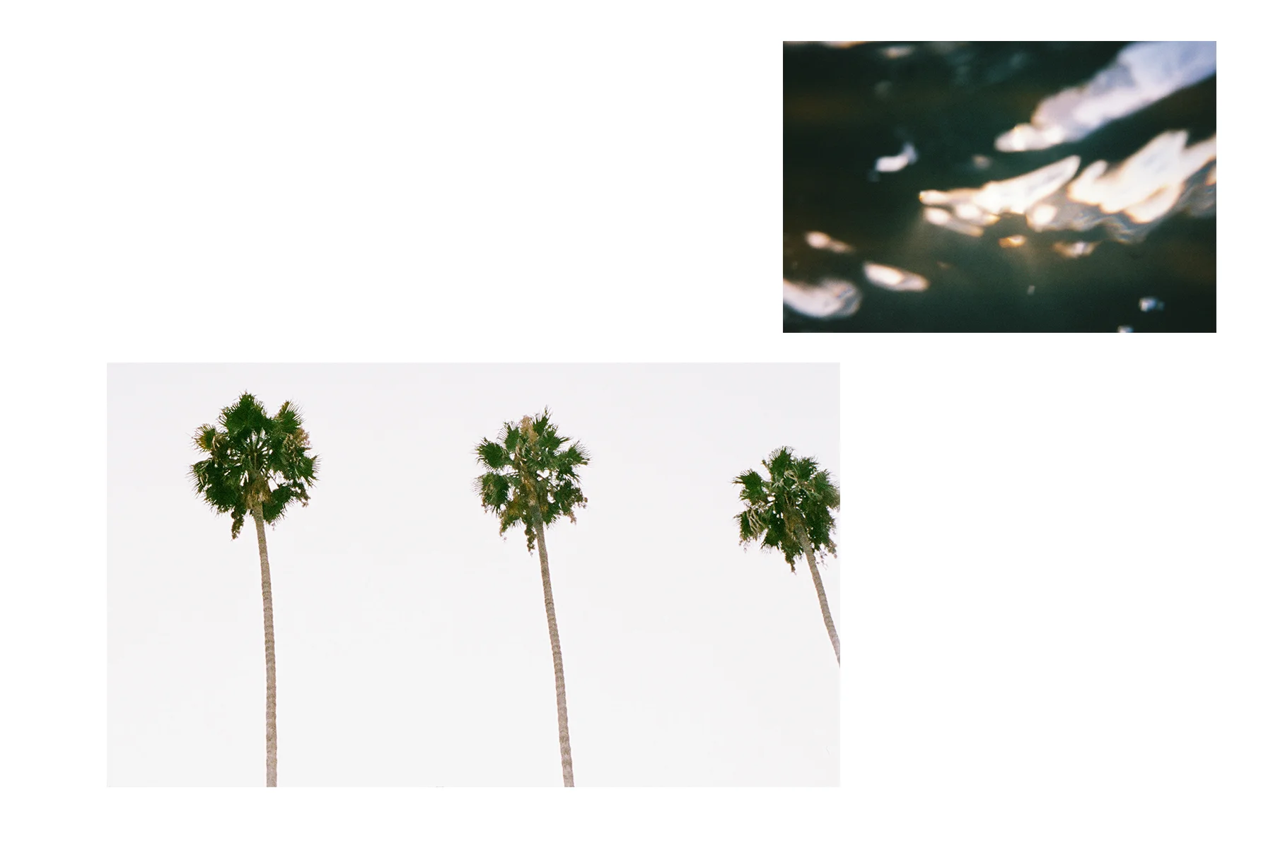 Untitled-6.jpg