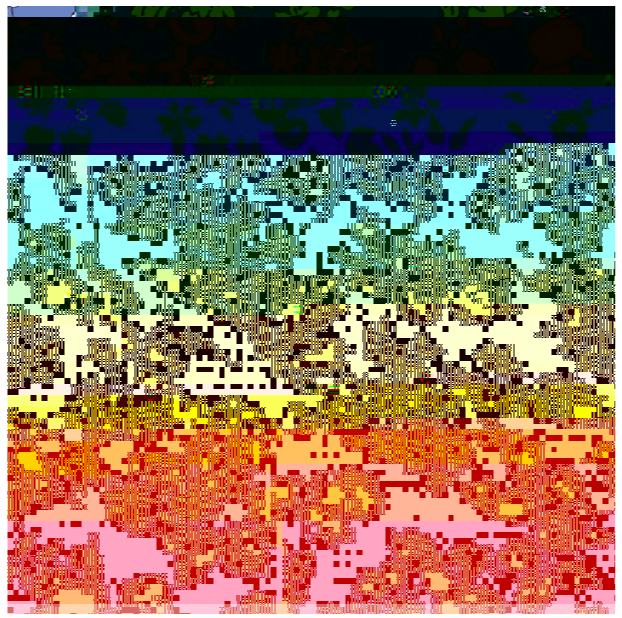 Screen Shot 2019-07-16 at 2.14.25 PM.png