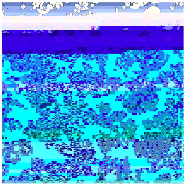 Screen Shot 2019-07-16 at 2.14.37 PM.png
