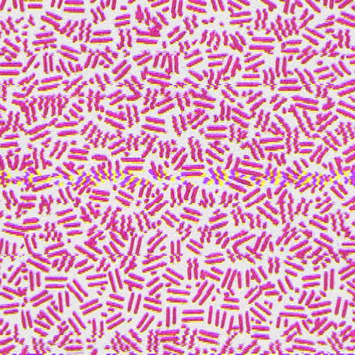MOSHED-2019-7-16-14-38-28.jpg
