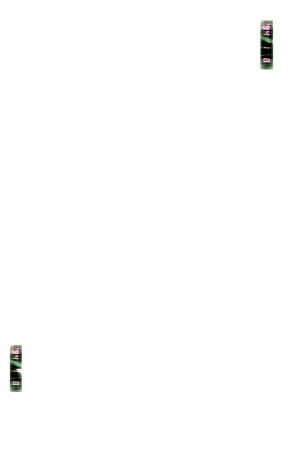 MOSHED-2019-7-26-12-54-20.gif