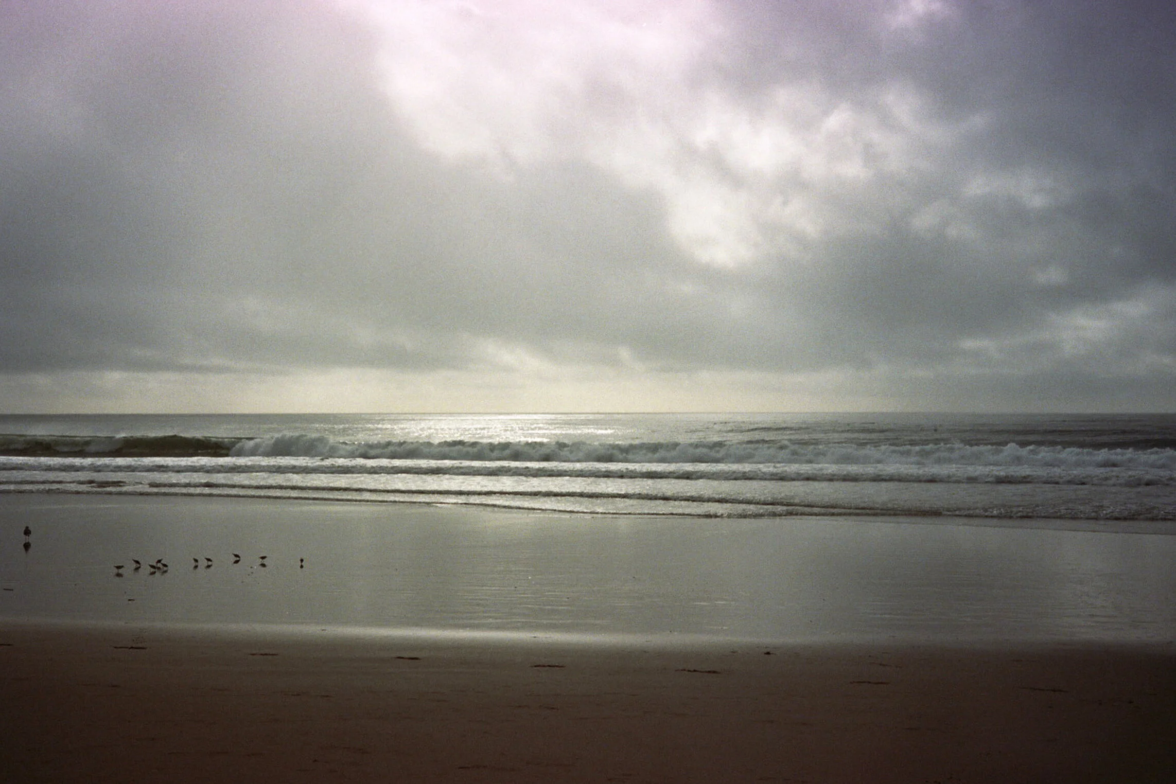 13A_0305.jpg
